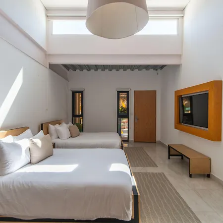 Mayan Monkey Los Cabos - Adults Only