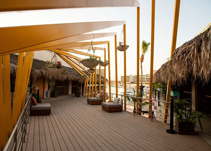 Mayan Monkey Cabos - Adults Only Hotel