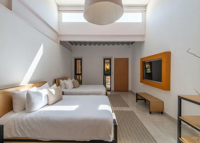 Mayan Monkey Cabos - Adults Only Hotel Cabo San Lucas