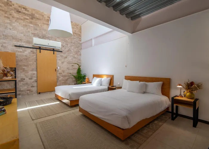 Hotel Mayan Monkey Cabos - Adults Only 2*