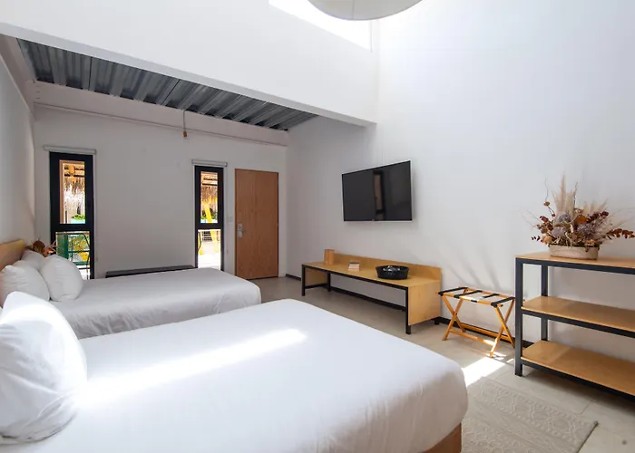 Mayan Monkey Cabos - Adults Only Hotel